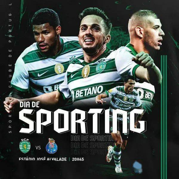 波尔布特高清图片 -爱游戏平台